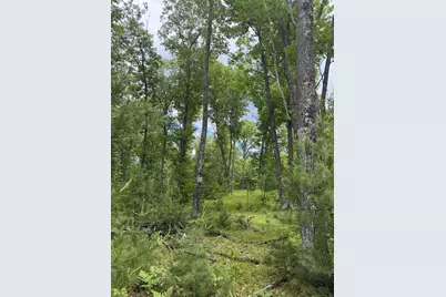 Lot 8 Rhett Lane, Wausaukee, WI 54177 - Photo 11