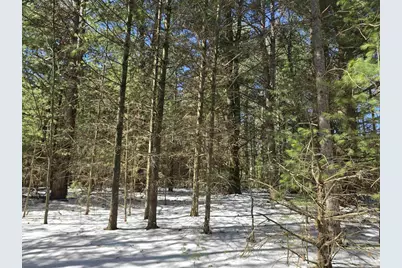 Buttercup Drive, Wautoma, WI 54982 - Photo 3