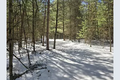 Buttercup Drive, Wautoma, WI 54982 - Photo 3