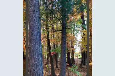 N423 Sandhill Court, Fremont, WI 54940 - Photo 29