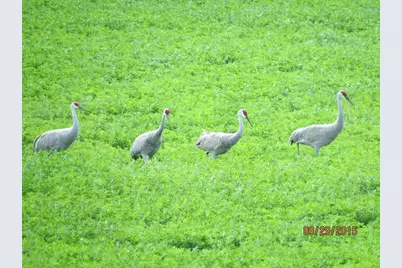 3128 Concordia Lane, Green Bay, WI 54311 - Photo 59