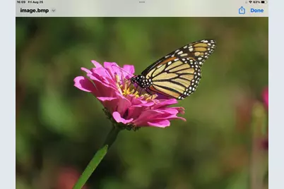 3128 Concordia Lane, Green Bay, WI 54311 - Photo 61