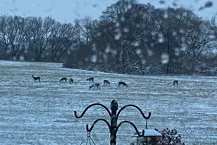 3128 Concordia Ln, Green Bay, WI 54311 - Photo 57