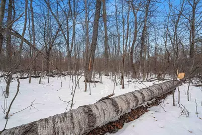 W10548 Newton Lane, Athelstane, WI 54104 - Photo 57