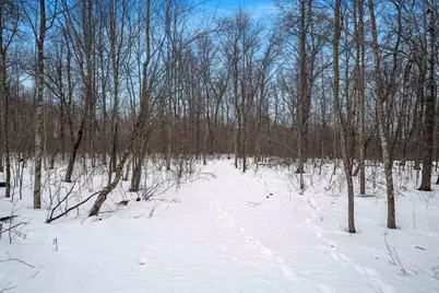 W10548 Newton Lane, Athelstane, WI 54104 - Photo 51