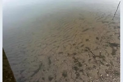 N260 3rd Court, Coloma, WI 54930 - Photo 9