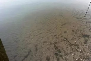 N260 3rd Ct, Coloma, WI 54930 - Photo 9