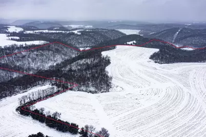 County Road E, Steuben, WI 54657 - Photo 13