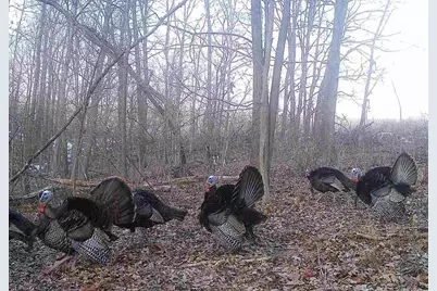 County Road E, Steuben, WI 54657 - Photo 3