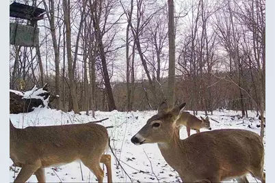 County Road E, Steuben, WI 54657 - Photo 9