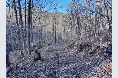 County Road E, Steuben, WI 54657 - Photo 79