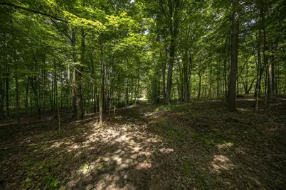 106 Rogers Avenue, Iron River, MI 49935 - Photo 53