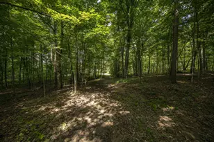 106 Rogers Ave, Iron River, MI 49935 - Photo 53