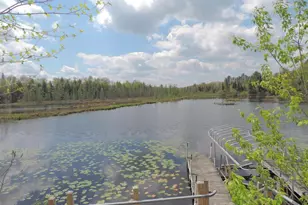 16781 Forest Hill Dr, Townsend, WI 54175 - Photo 63