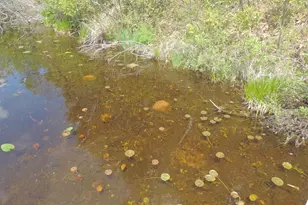 16781 Forest Hill Dr, Townsend, WI 54175 - Photo 61