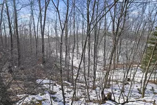 N12184 Long Lake Rd, Wausaukee, WI 54177 - Photo 53