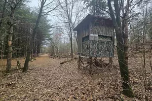 W4506 County Rd TT, Wild Rose, WI 54984 - Photo 27