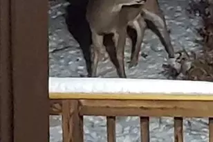 W4506 County Rd TT, Wild Rose, WI 54984 - Photo 25