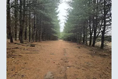 W4506 County Road Tt, Wild Rose, WI 54984 - Photo 43