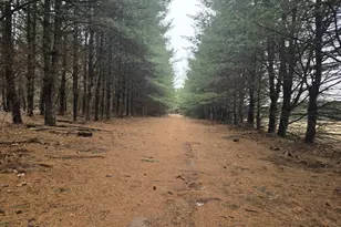 W4506 County Rd TT, Wild Rose, WI 54984 - Photo 43