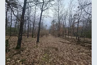 W4506 County Road Tt, Wild Rose, WI 54984 - Photo 41