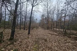 W4506 County Rd TT, Wild Rose, WI 54984 - Photo 41