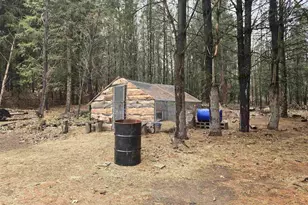 W4506 County Rd TT, Wild Rose, WI 54984 - Photo 37