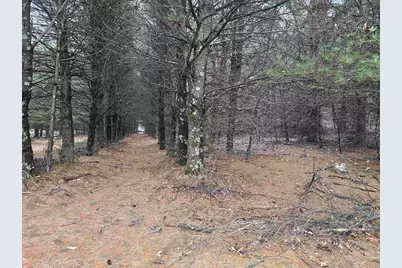 W4506 County Road Tt, Wild Rose, WI 54984 - Photo 39