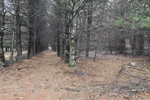 W4506 County Rd TT, Wild Rose, WI 54984 - Photo 39