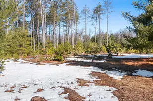 W6266 Woods Rd, Shawano, WI 54166 - Photo 49