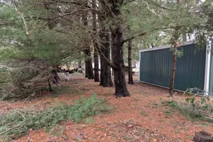 231 Wood St, Redgranite, WI 54970 - Photo 5