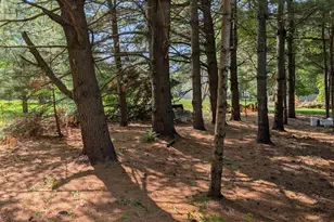 231 Wood St, Redgranite, WI 54970 - Photo 13