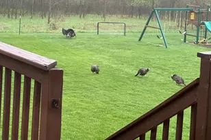 730 Aerostar Ln, Green Bay, WI 54313 - Photo 31