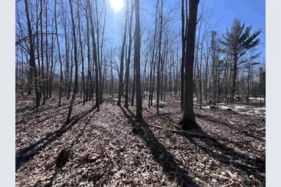 Rhett Lane, Wausaukee, WI 54177 - Photo 3