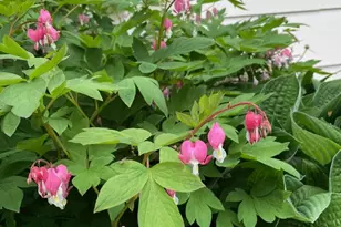 1400 Kellogg St, Green Bay, WI 54303 - Photo 41