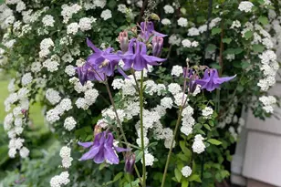 1400 Kellogg St, Green Bay, WI 54303 - Photo 39