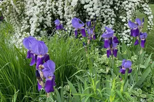 1400 Kellogg St, Green Bay, WI 54303 - Photo 37