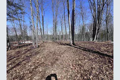 Rhett Lane, Wausaukee, WI 54177 - Photo 5