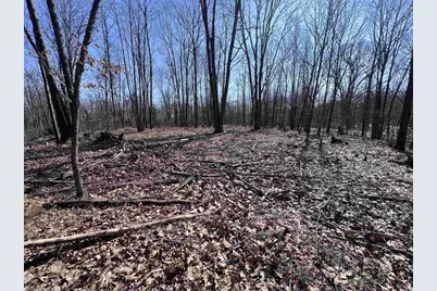 Rhett Lane, Wausaukee, WI 54177 - Photo 3