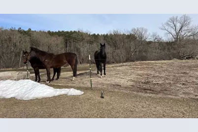 E7037 Swamp Road, Marion, WI 54950 - Photo 19