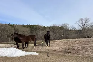 E7037 Swamp Rd, Marion, WI 54950 - Photo 19