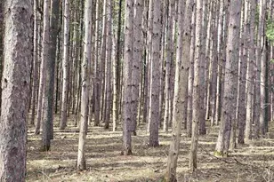 834 N Lake St, Hancock, WI 54943 - Photo 33