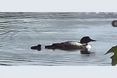 16245 Crestview Drive, Riverview, WI 54149 - Photo 27