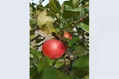 1254 Wild Rose Lane, Neenah, WI 54956 - Photo 43