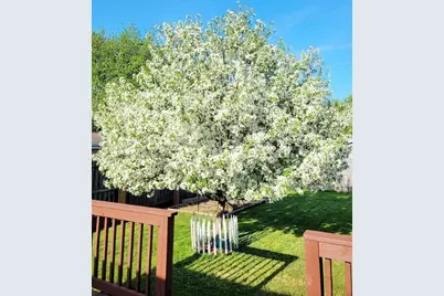 1254 Wild Rose Lane, Neenah, WI 54956 - Photo 41