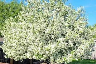 1254 Wild Rose Ln, Neenah, WI 54956 - Photo 41