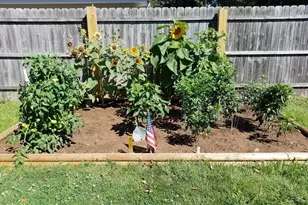 1254 Wild Rose Ln, Neenah, WI 54956 - Photo 39