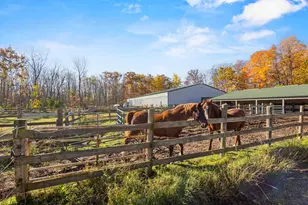 N4742 Thompson Rd, Shiocton, WI 54170 - Photo 47