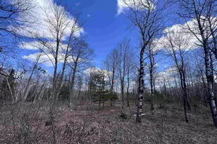 Nejedlo Rd, Wausaukee, WI 54177 - Photo 1