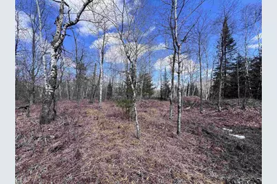 Nejedlo Road, Wausaukee, WI 54177 - Photo 1